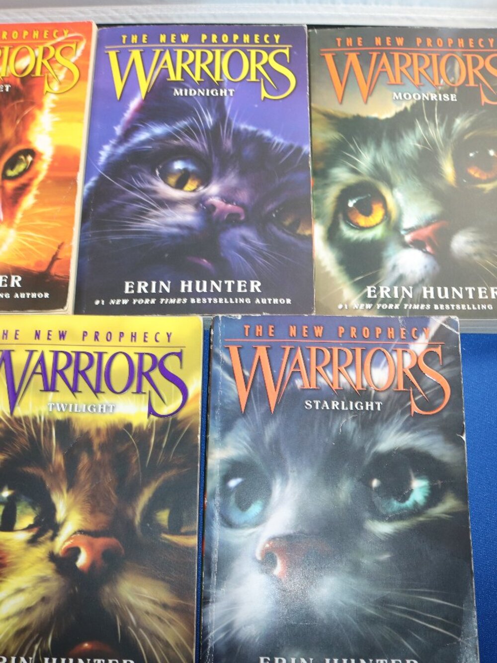 Warrior Cats "The New Prophecy" lot of 5 paperback books good shape